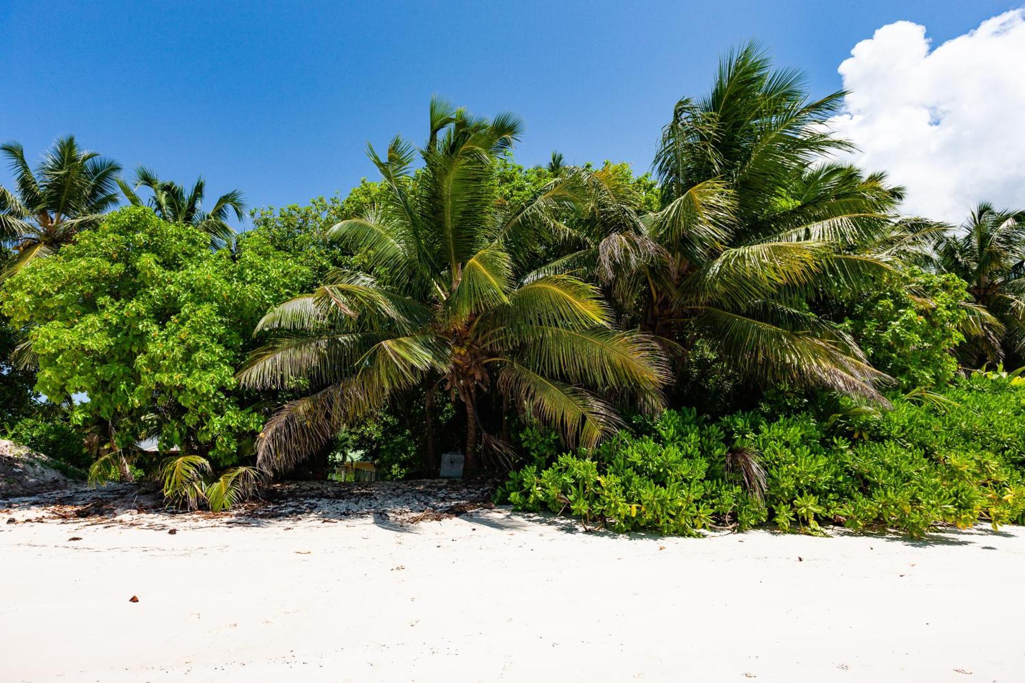 Bijoutier Apartments Grand Anse  Exterior foto